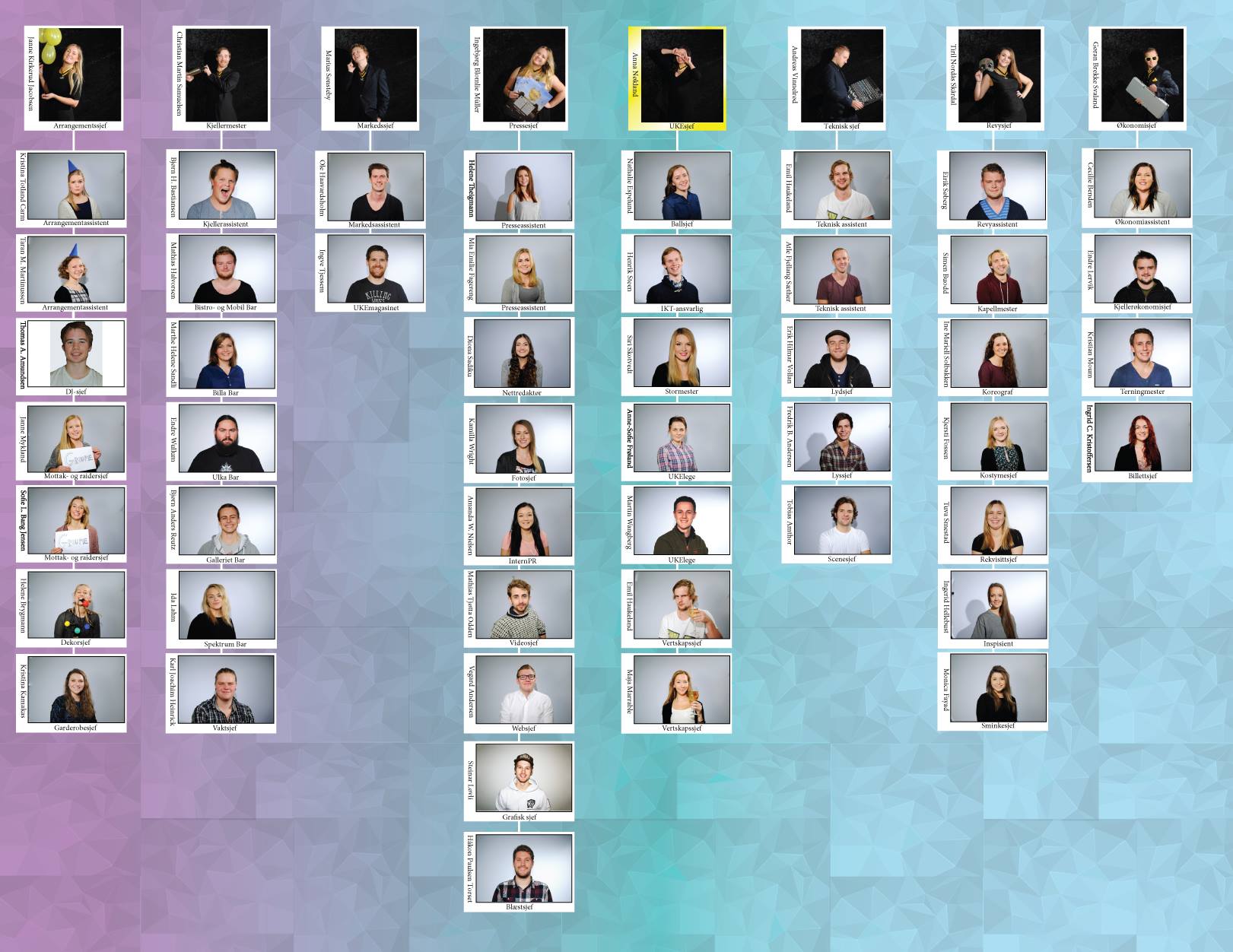 UKA 2015 organisasjonskart